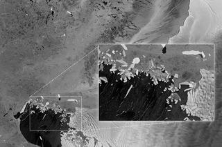 sentinel1